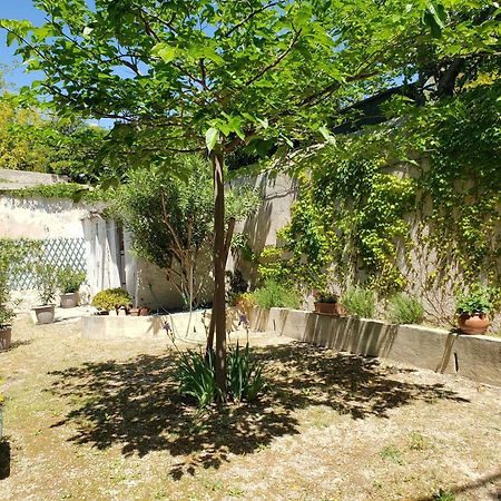 Appartement Au Coeur De Cassis Avec Jardin Kültér fotó