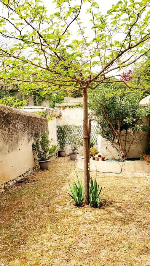 Appartement Au Coeur De Cassis Avec Jardin Kültér fotó