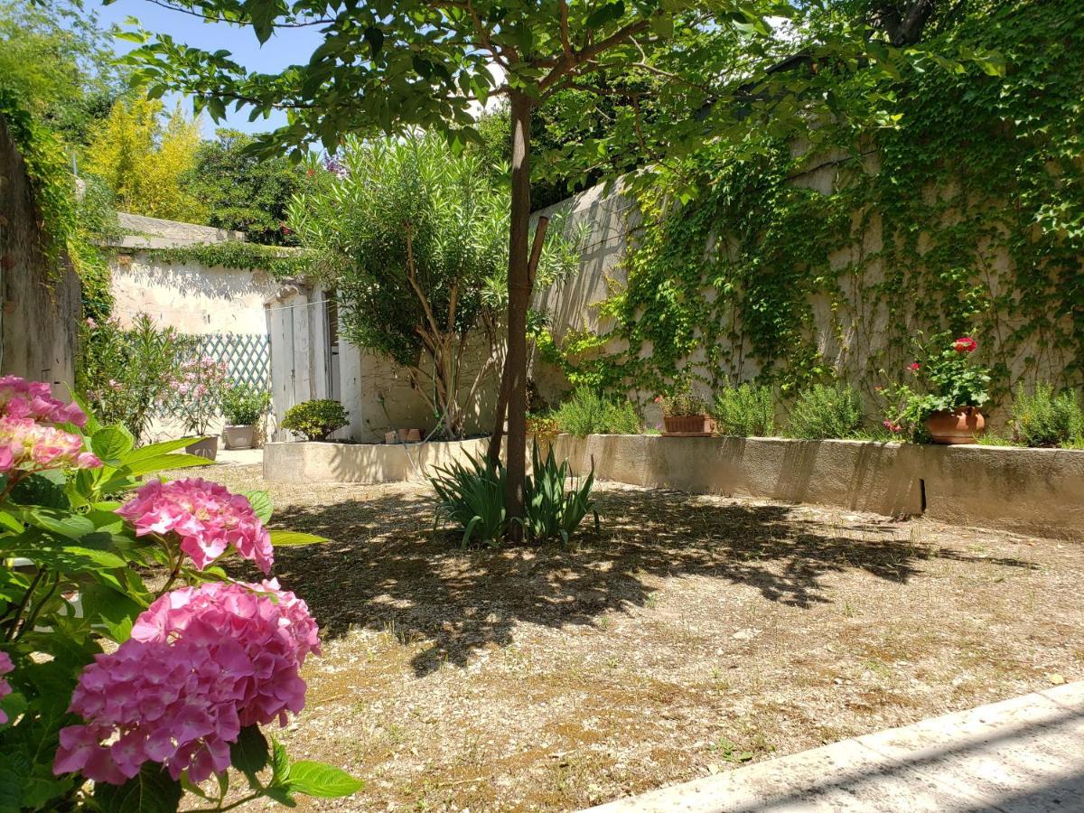 Appartement Au Coeur De Cassis Avec Jardin Kültér fotó